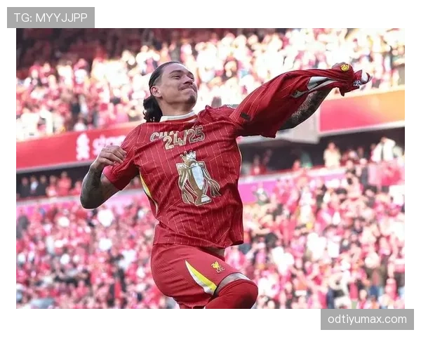 努涅斯如何从乌拉圭草根蜕变为利物浦9号？能力跃迁与适应机制解析